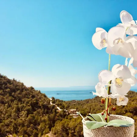 Orquidea - Amazing Landscape View * Santa Eulária des Riu